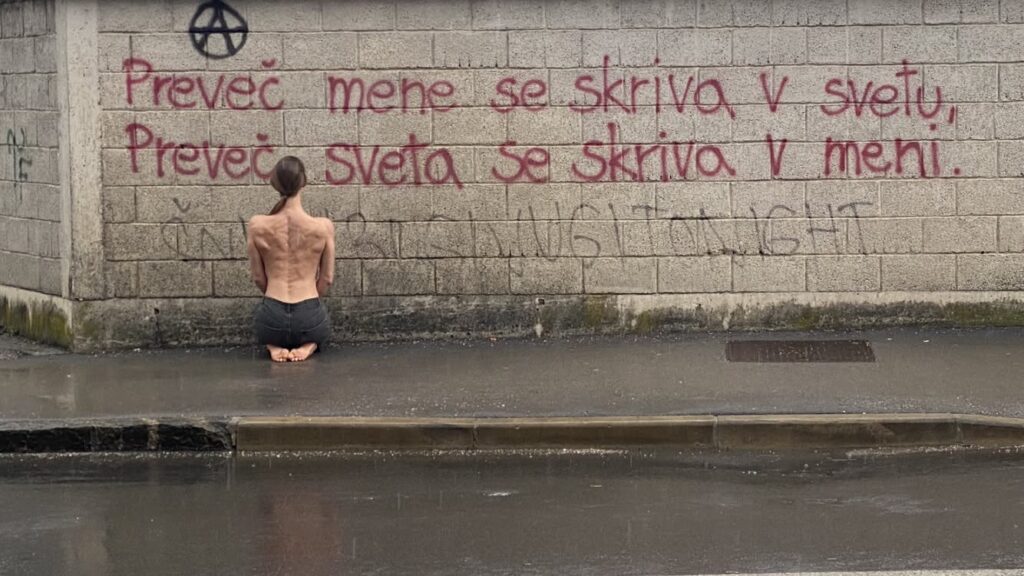 preveč sveta eva grafit